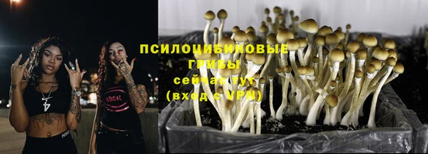 МДМА Горнозаводск