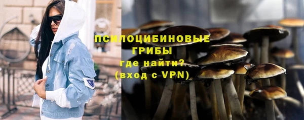 МДМА Горнозаводск