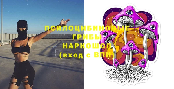 скорость Горняк