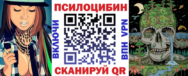 Купить закладки  Белебей  Псилоцибиновые грибы Psilocybine cubensis 